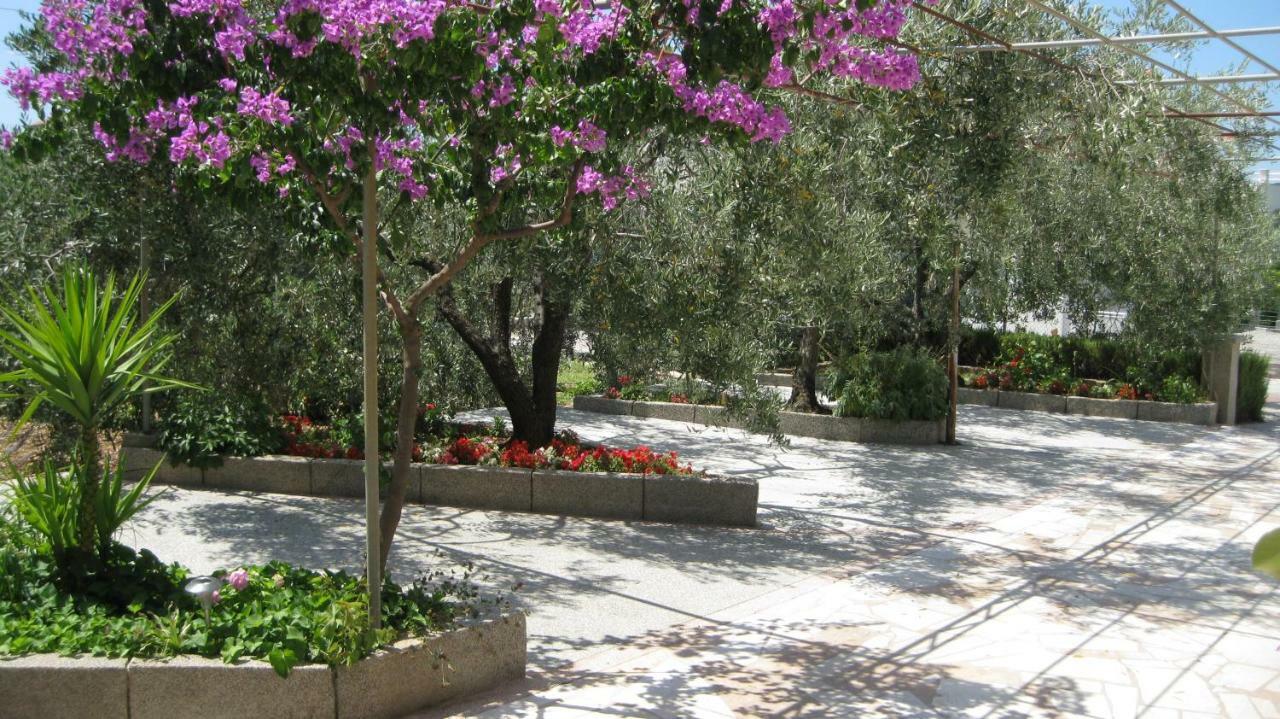 Apartments Maslina Trogir Dış mekan fotoğraf