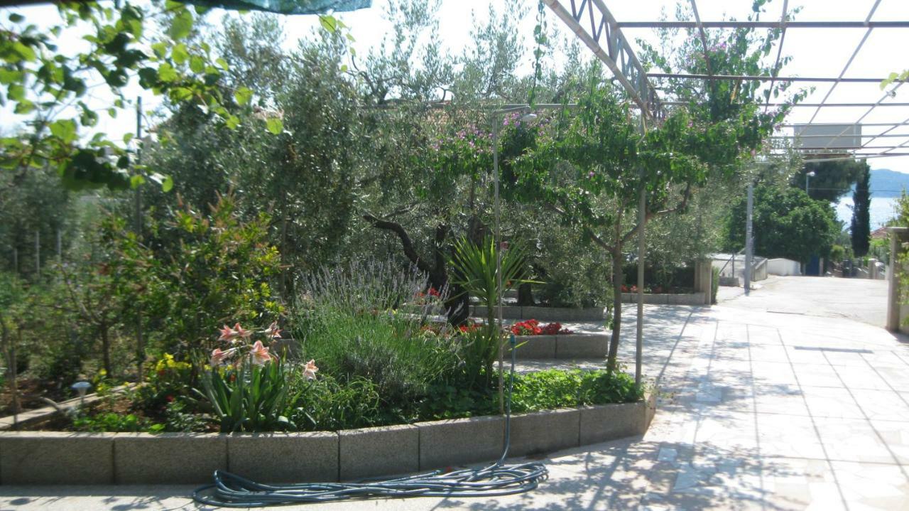 Apartments Maslina Trogir Dış mekan fotoğraf