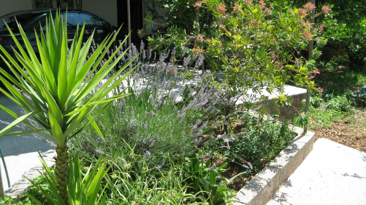 Apartments Maslina Trogir Dış mekan fotoğraf